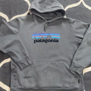 Patagonia Blue and Purple Logo Gray Hoodie